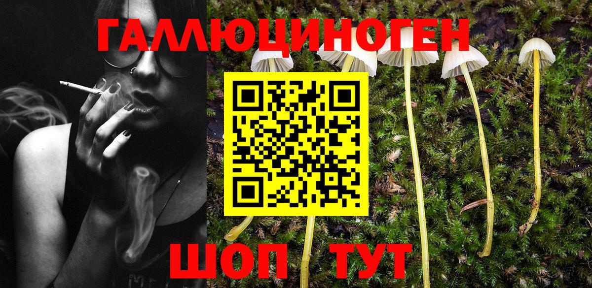 Урюпинск  Псилоцибиновые грибы ЛСД  Псилоцибиновые грибы мухоморы  Вход с VPN 
